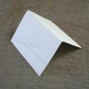lettre sauvage holiday greeting card
