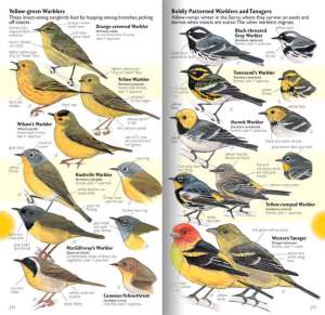 from John Muir Laws new natural history book