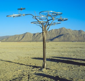 Bicycle Rim Tree photo by Ed Hoffman