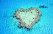 img_heart_reef_small1