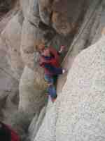 jtreereedclimbup09sm