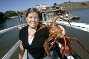lobster1 http://latimesblogs.latimes.com/outposts/2008/09/southland-lobst.html lobster1 http://latimesblogs.latimes.com/outposts/2008/09/southland-lobst.html