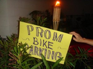 2878_1159835553073_1143308954_460024_8304530_n