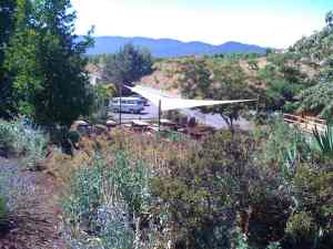 Baby Beluga VW Westy at Ridge