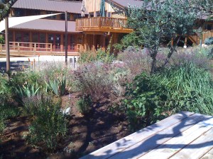 IMG_0889 Ridge Tasting Room and picnic tables IMG_0889 Ridge Tasting Room and picnic tables