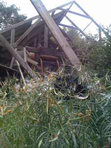 historic winery now monarch butterfly preserve