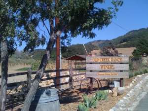 Old Creek Road Winery open 909