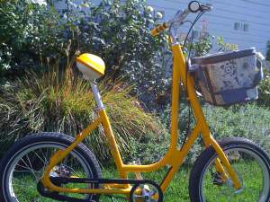 yellow BIKERGO october 2009