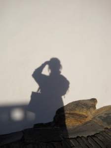 Art Predator's shadow at Monsarez castle