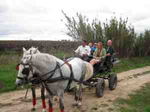 European WIne Bloggers Conf carriage ride in Tejo