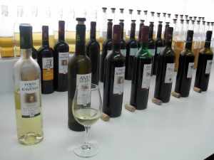 Portuguese wines from Redondo Winery tasting