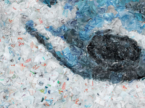 chris-jordan_whale_close-up