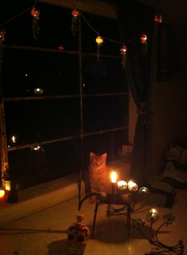 gingerkitty 2013 dia muertos