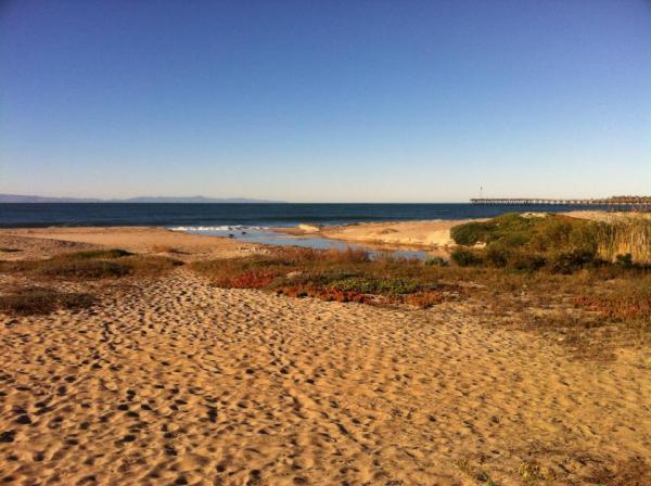 599419_10151813692340924_1110016660_n