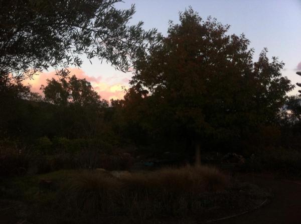 10428447_10152453266765924_7281173303091292467_n