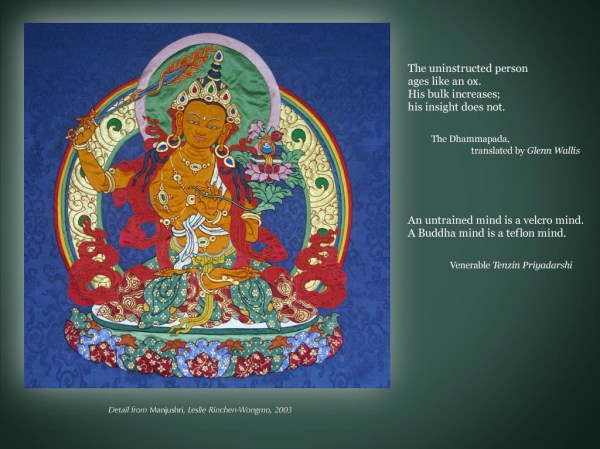 147_what_kind_of_coating_does_your_mind_have