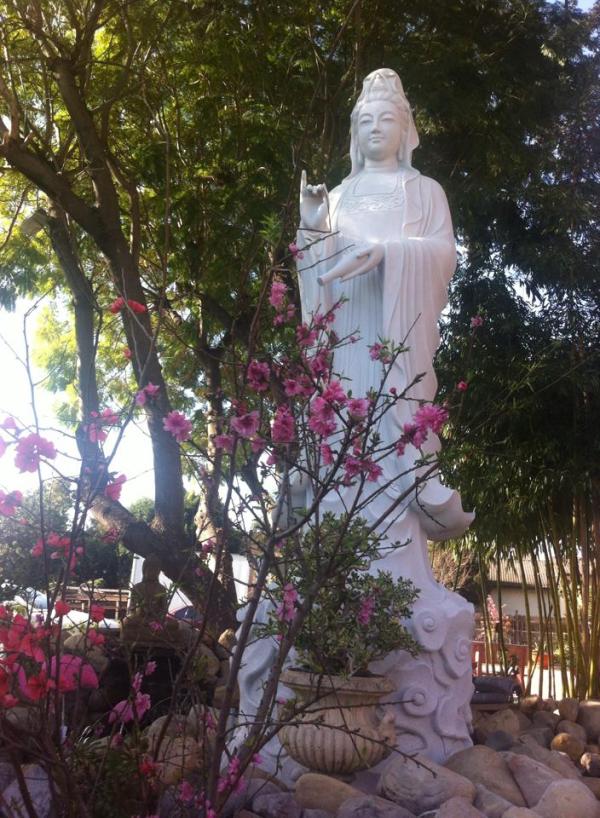 10408711_10152663931325924_2522483850143110089_n