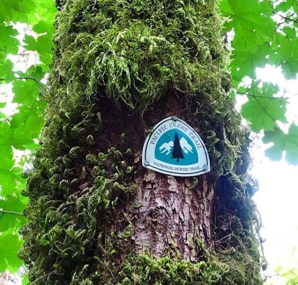 10624763_1591998117701307_1034529786684610071_n