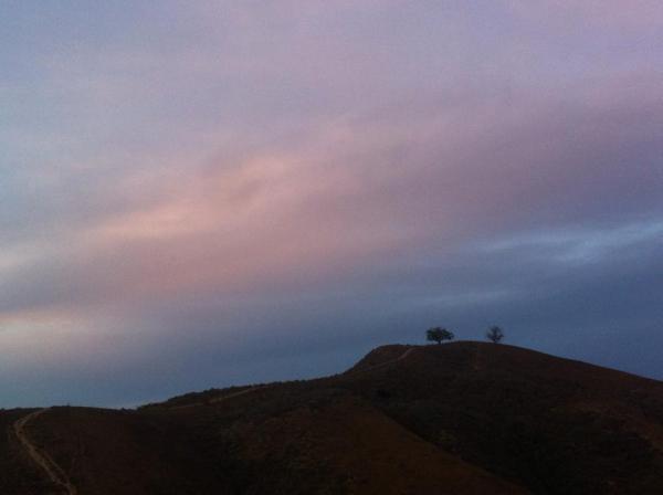 10408006_10152751106255924_6679374986102846078_n