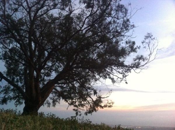 11051812_10152751105950924_7306544859471436138_n