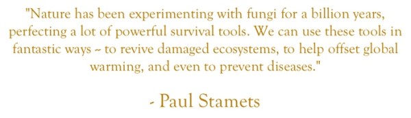 88f5406bab6d719faa6ef5e2e8ac93ca_original