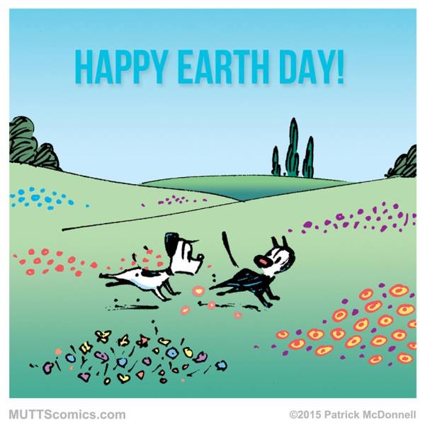 11182325_10153769264009746_5926494025178080058_n