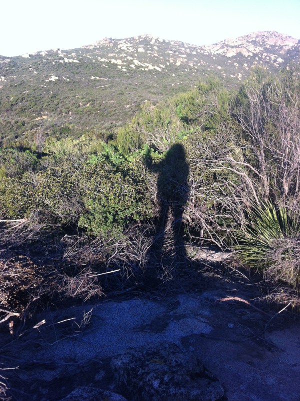 PCT Class of 2015 shadow self