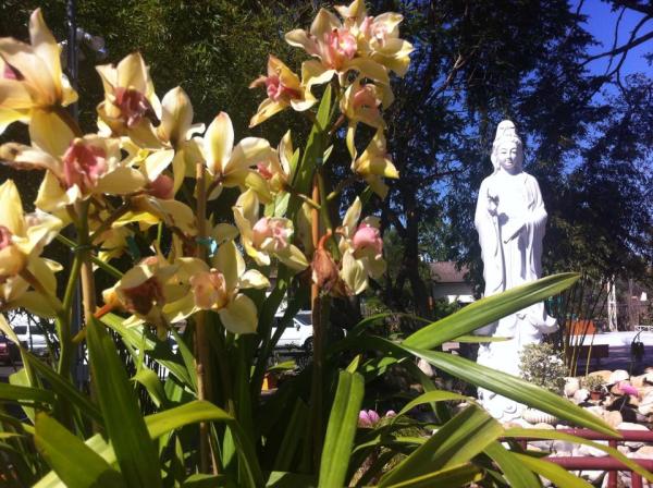 10339655_10152940099975924_461284924269318823_n