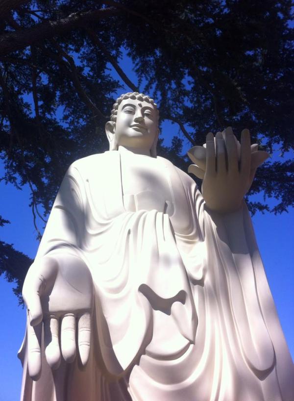 10460337_10152940100380924_8961899724509016760_n