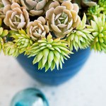 easy-style-beach-tide-pool-pot-0911-m
