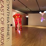 11899547_122934131391963_1631548859_n