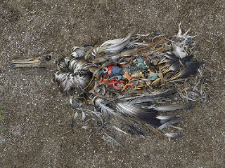 credit: Midway, 2009-2010, Chris Jordan, www.chrisjordan.com