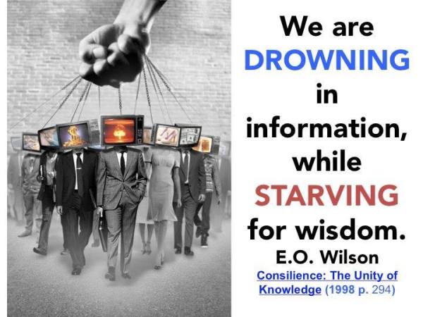 artpredatorWilsonINFOquote