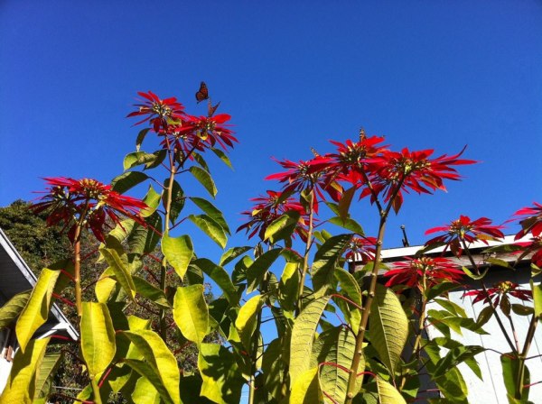 382921_10151197786155924_205240106_n