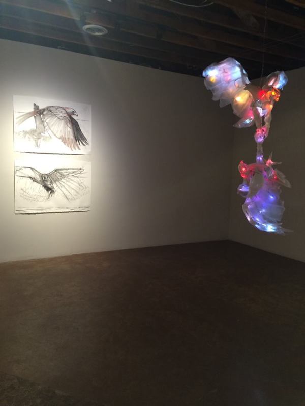 12644769_10208050187239804_8106055425618947016_n