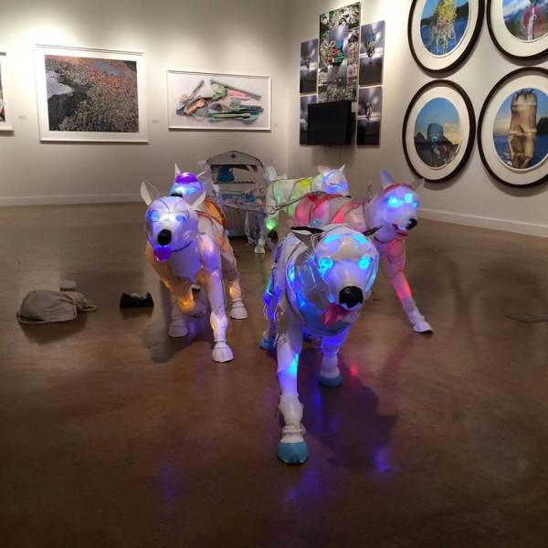 12662031_10208062231860912_6775407227990245023_n