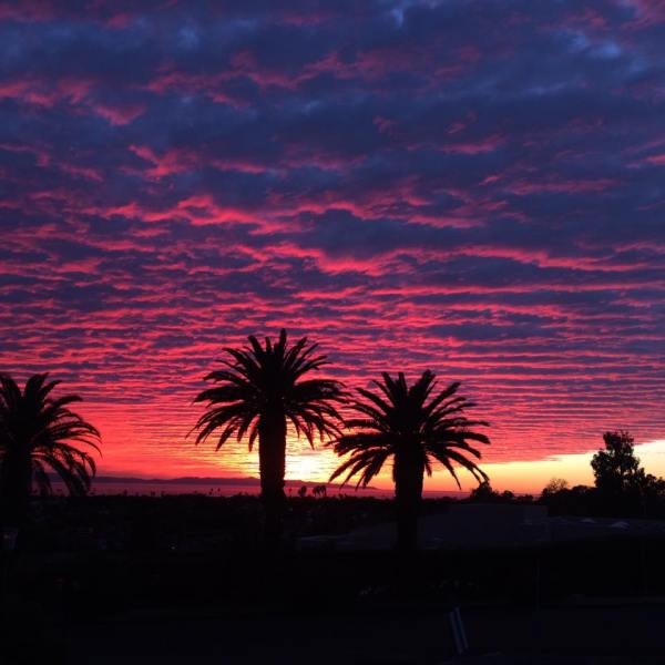 15672562_10209961165358522_7097429767911499133_n