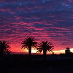 15672562_10209961165358522_7097429767911499133_n