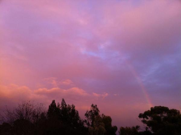 1620738_10151930653525924_669988744_n