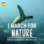 17904239_10155196689742731_8903656125628945126_n