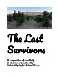The Last Survivors cover&nbsp;copy