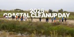coastal clean up