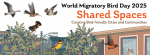 world migratory bird&nbsp;day