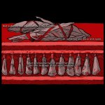 MMIWG2S Alvitre